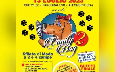 Festa Pubblica assistenza di Alfonsine 2023 – 13 luglio Parcobaleno